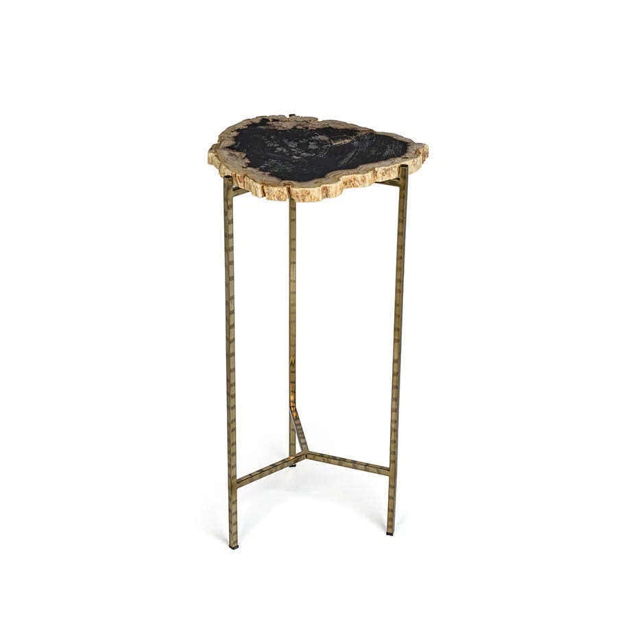 Petrified Wood Side Table - 23.7