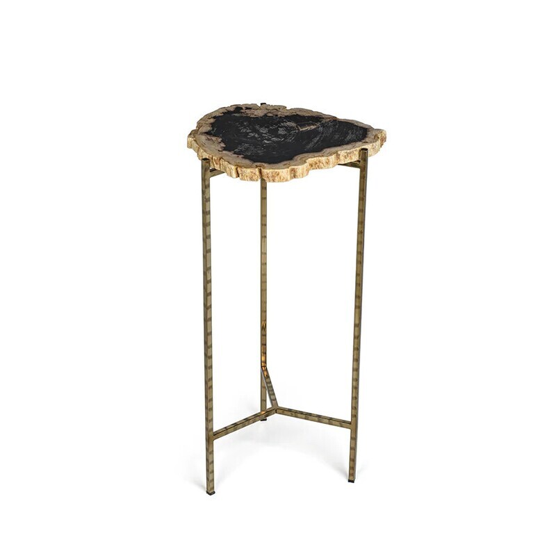 Petrified Wood Side Table - 23.7