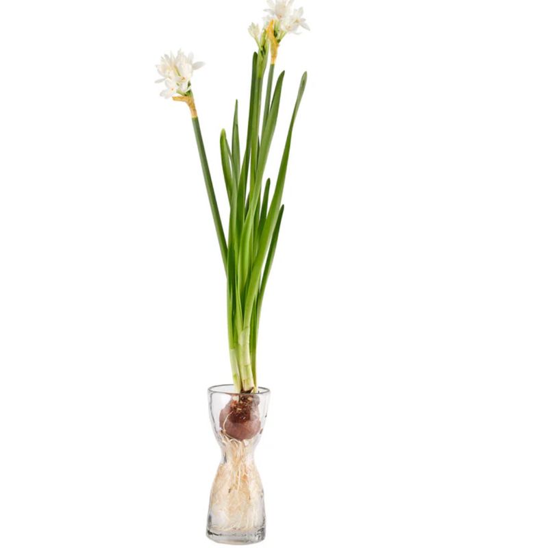 Wabisabi Bulb Forcer