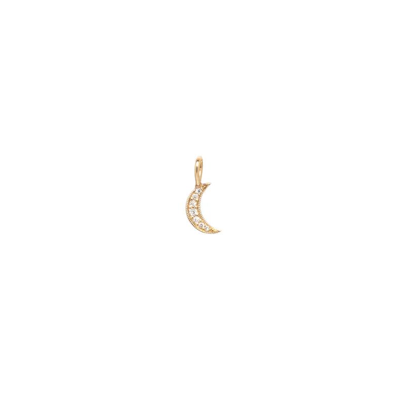 Charm- 14k Midi Crescent Moon Pave
