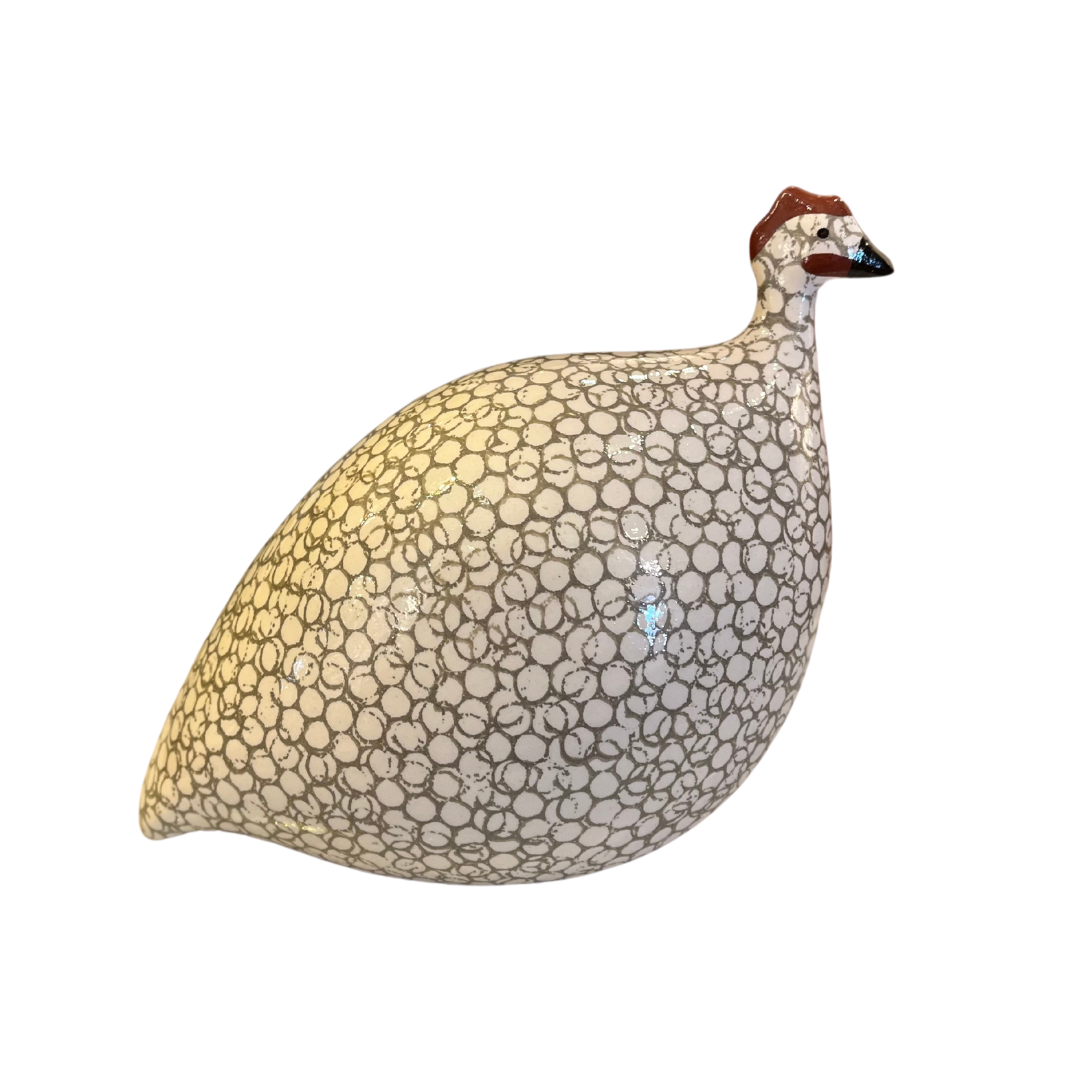 Small grey &amp; white guinea hen