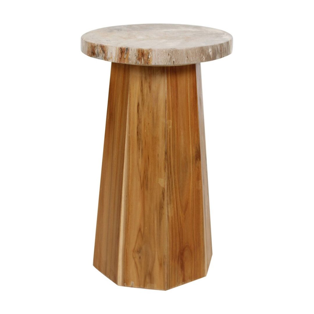 Petrified Wood Top Accent Table