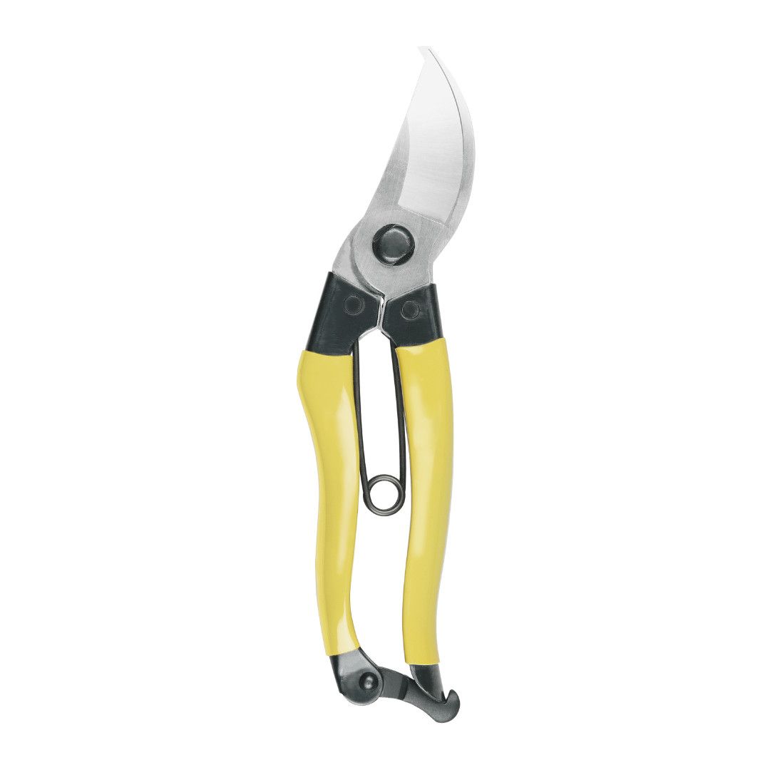 Mainichi Secateurs