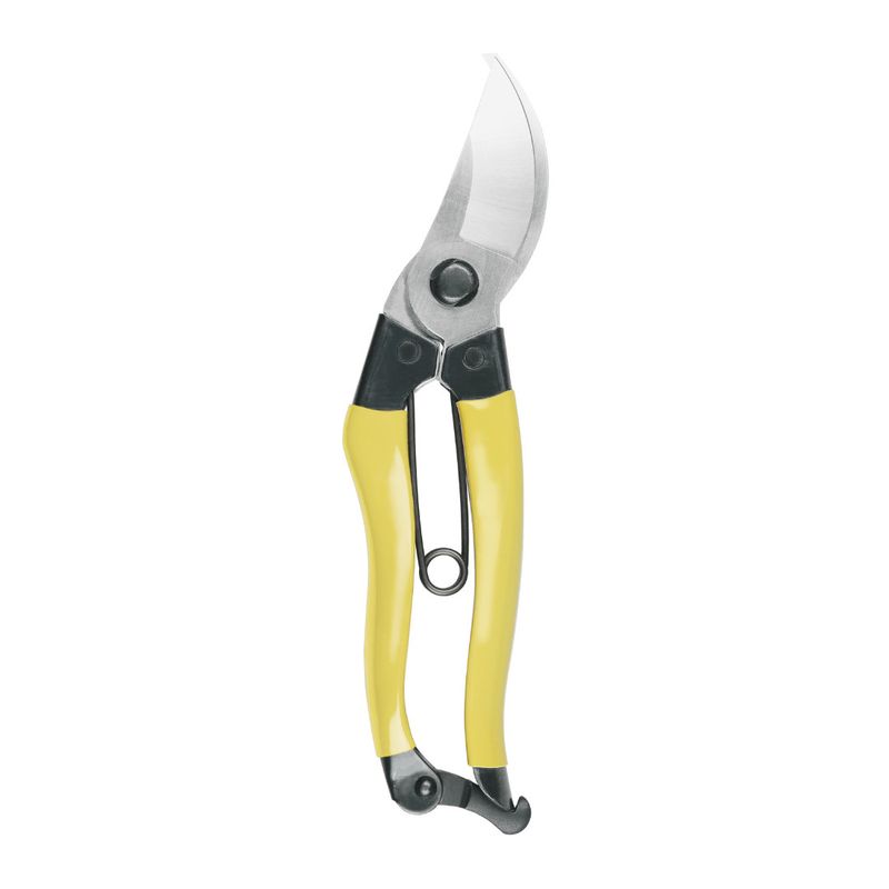 Mainichi Secateurs