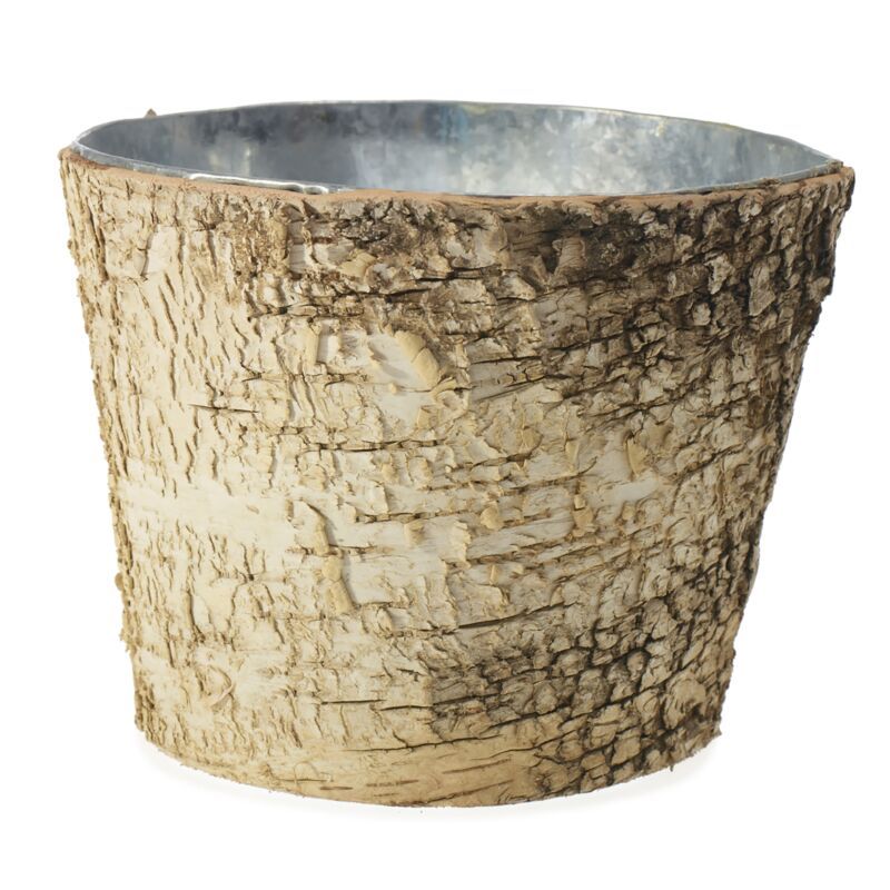 Birch Pot w. Zinc 7x6