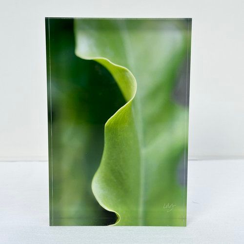 8x12 Photography-
