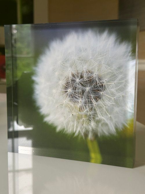 7x7 Photography