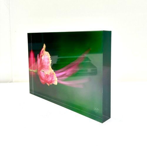 6x9 Photography-