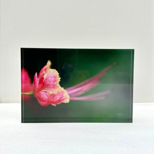 6x9 Photography-, Pattern: Flow