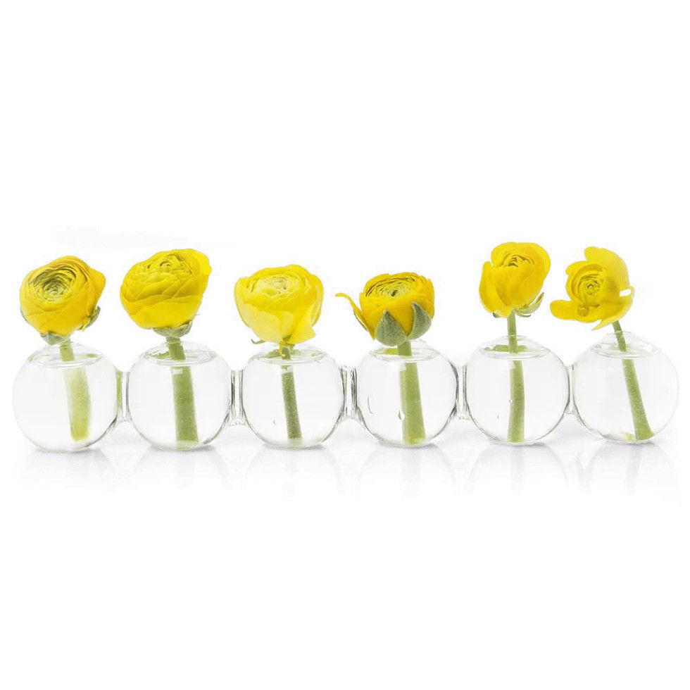 Caterpillar Bud Vase- Large