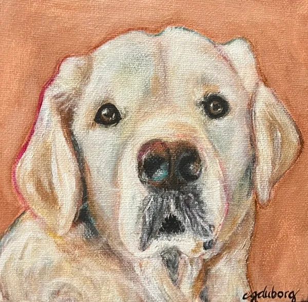 Pet portraits by Carrie Duborg - 6x6