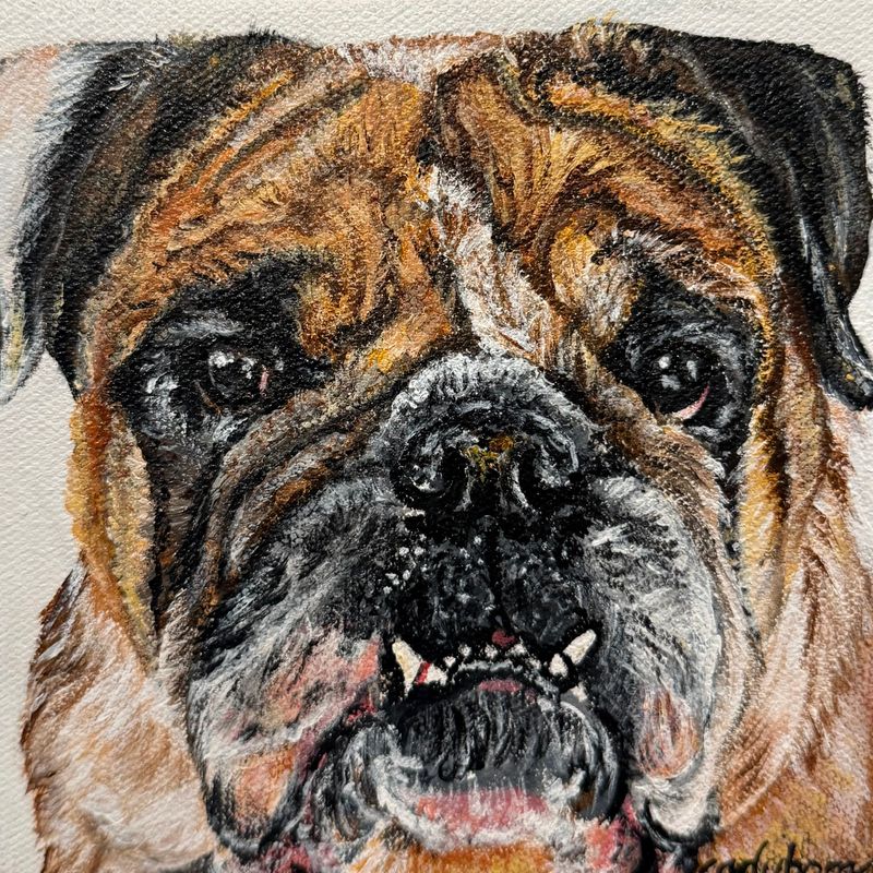 Pet portraits by Carrie Duborg - 10x10