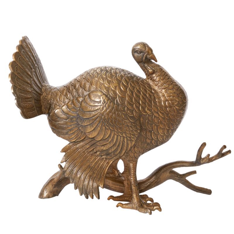 Merriam Turkey