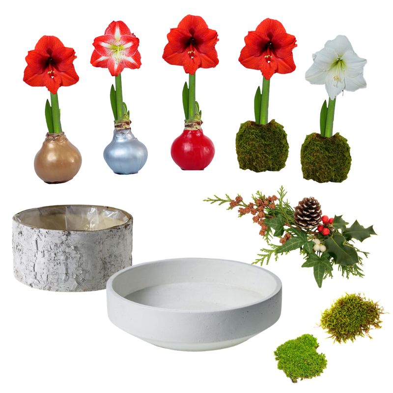 Holiday Bulb Centerpiece Design - Friday Nov. 21, 10 - 12:30