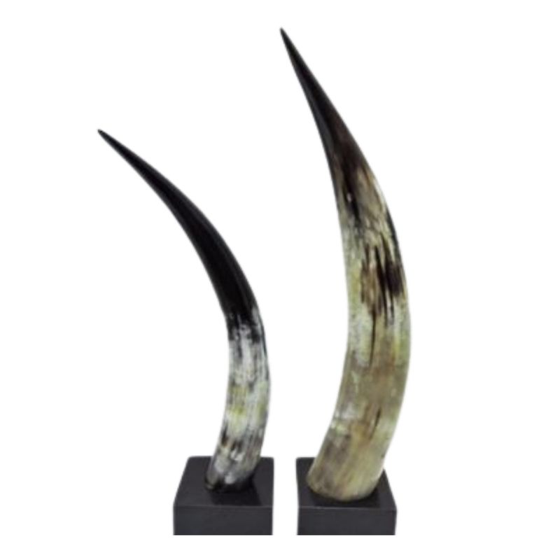 Horns on Stand Blk S/2