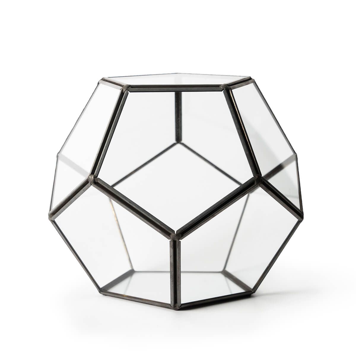 Glass Terrarium, Dome