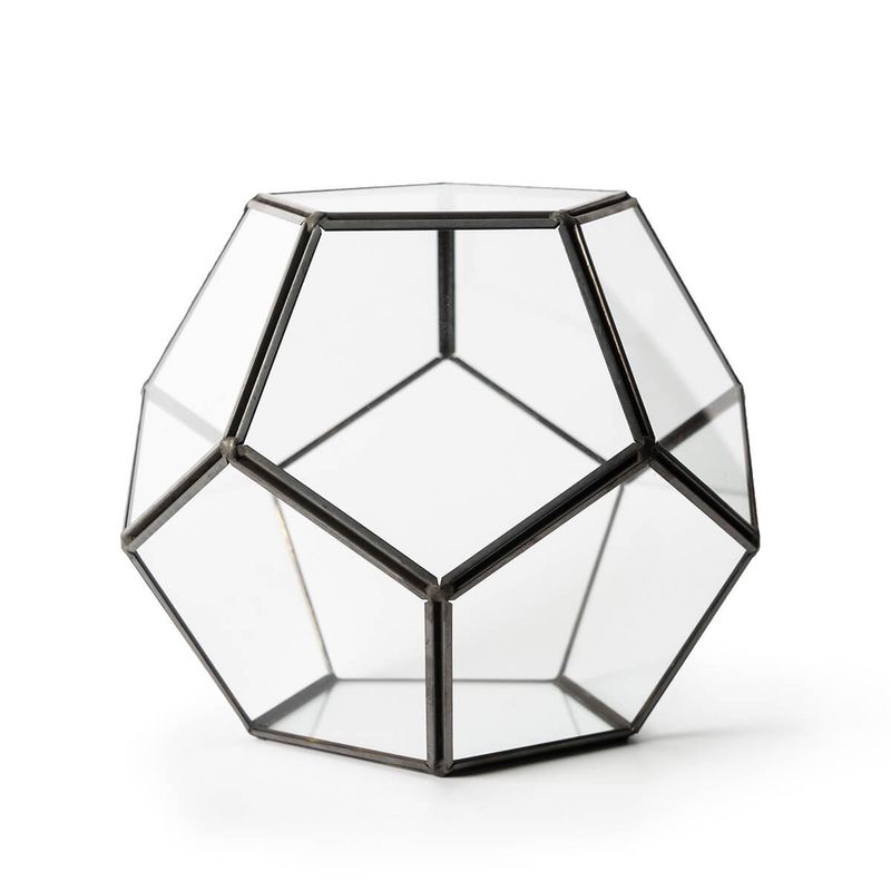 Glass Terrarium, Dome