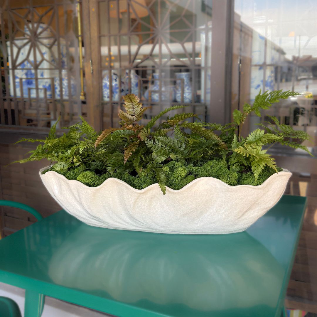 Fern Trough Planter