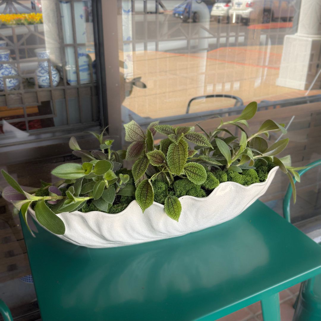 Tropical Trough Planter