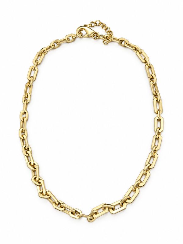 Necklace- Harvey Chain