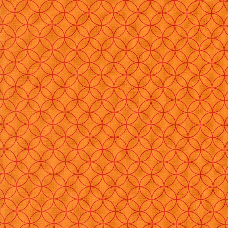Collezione Rainbow Spice 45042 31