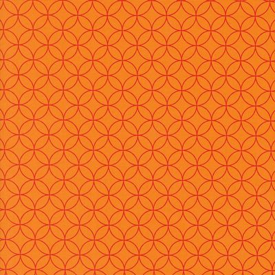 Collezione Rainbow Spice 45042 31