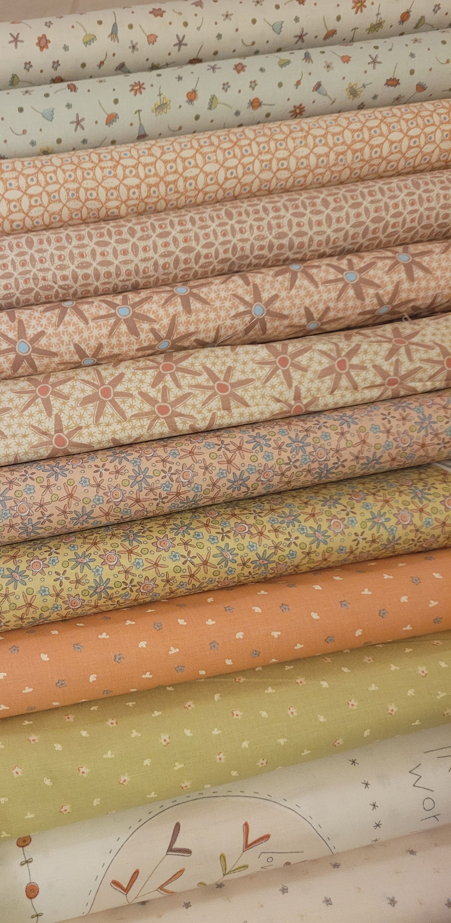 Cofanetto 11 fat quarters  Simply be di Anni Downs