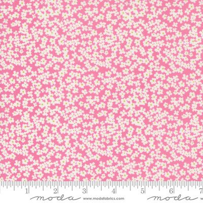 Shine Moda Fabrics 55672-13