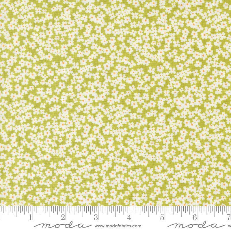 Shine Moda Fabrics 55672-16