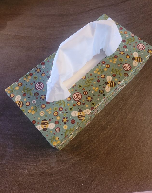 Box p/salviette o fazzoletti 24x12x8cm 601010