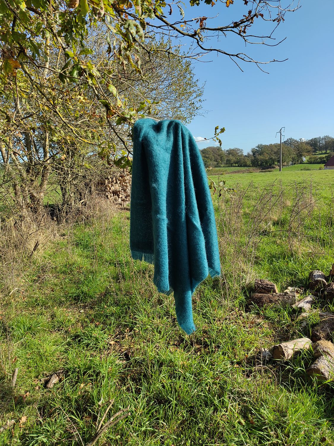 Petit plaid Col Vert