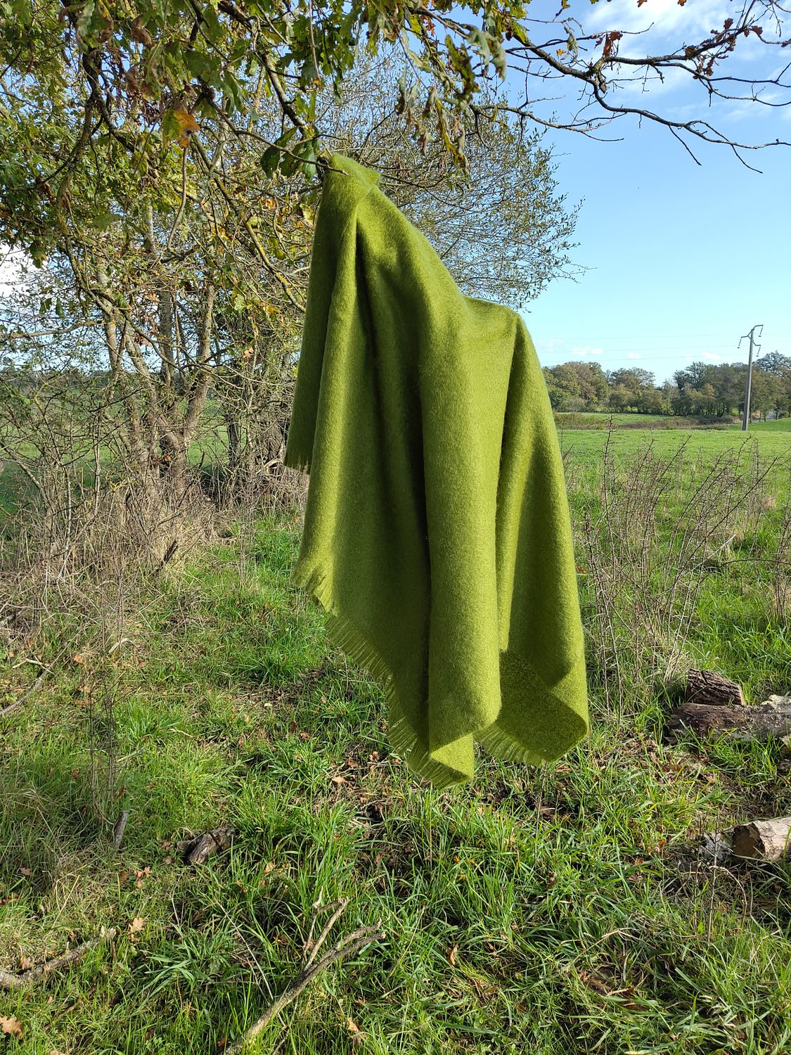 Grand plaid Fougère