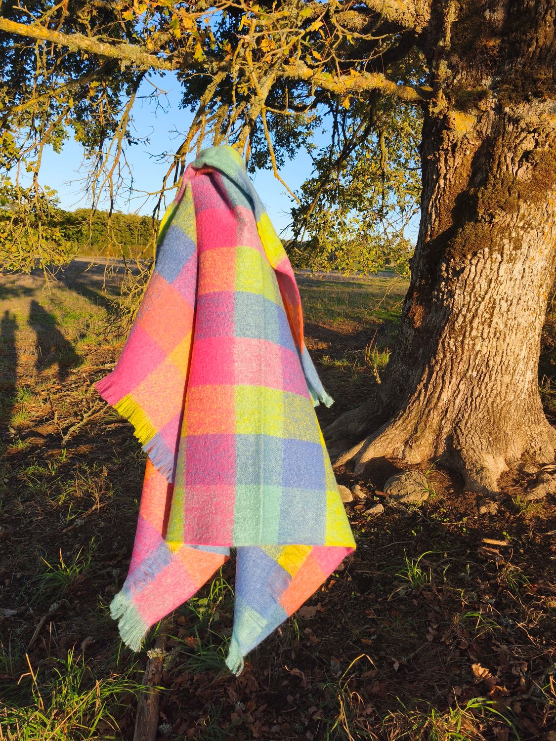 Grand plaid couleur Carreaux Punchi