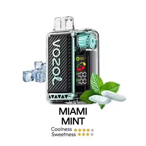 VOZOL Vista 20000 Miami Mint