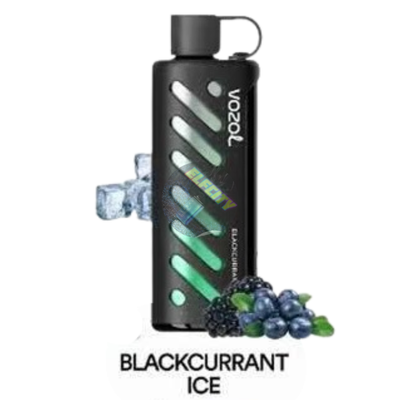 VOZOL Shisha 25000 Blackcurrant Ice