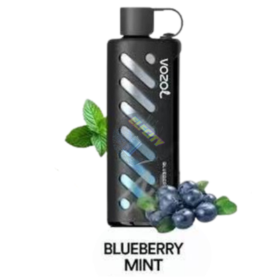 VOZOL Shisha 25000 Blueberry Mint