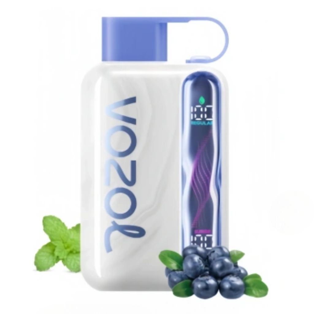 VOZOL Star 40000 Blueberry Mint