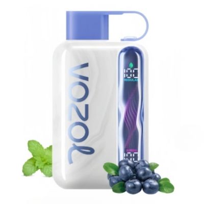 VOZOL Star 40000 Blueberry Mint
