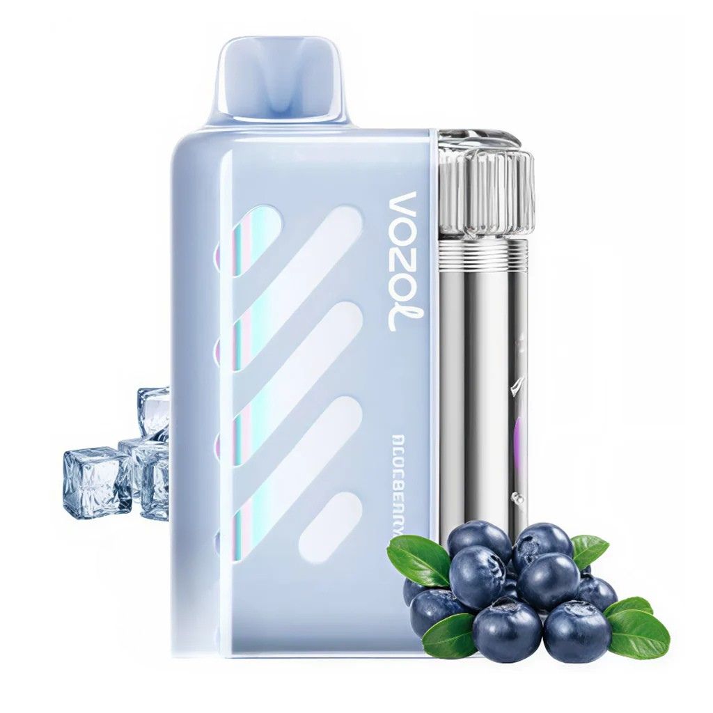 VOZOL Vista 40000 Blueberry Ice