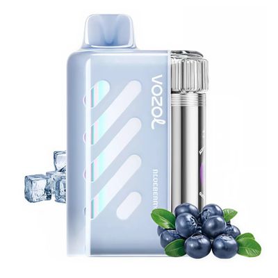 VOZOL Vista 40000 Blueberry Ice