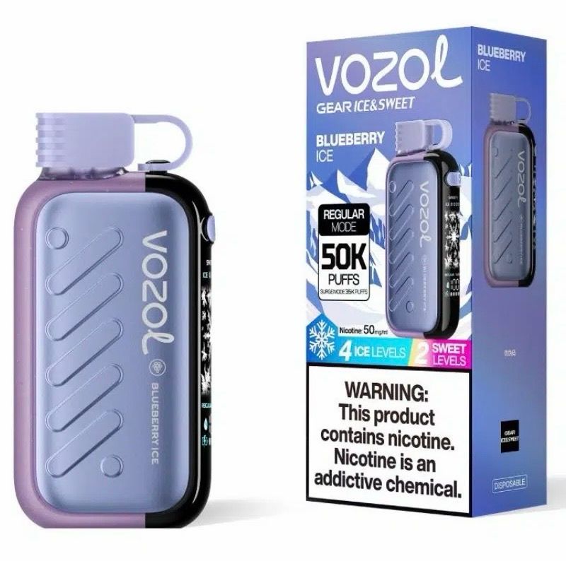 VOZOL GEAR 50000 Blueberry Ice
