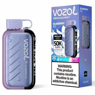 VOZOL GEAR 50000 Blueberry Ice