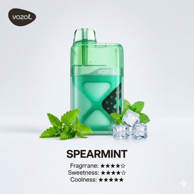VOZOL NEON 60000 Spearmint