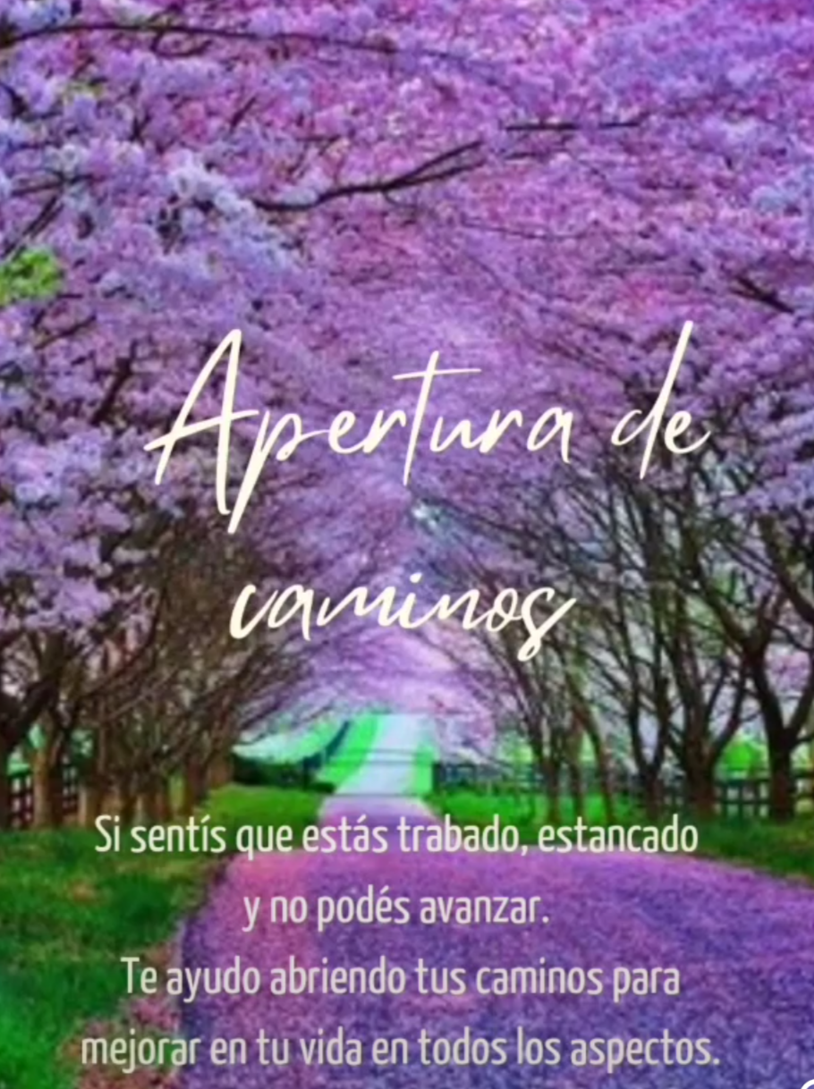 APERTURA DE CAMINOS