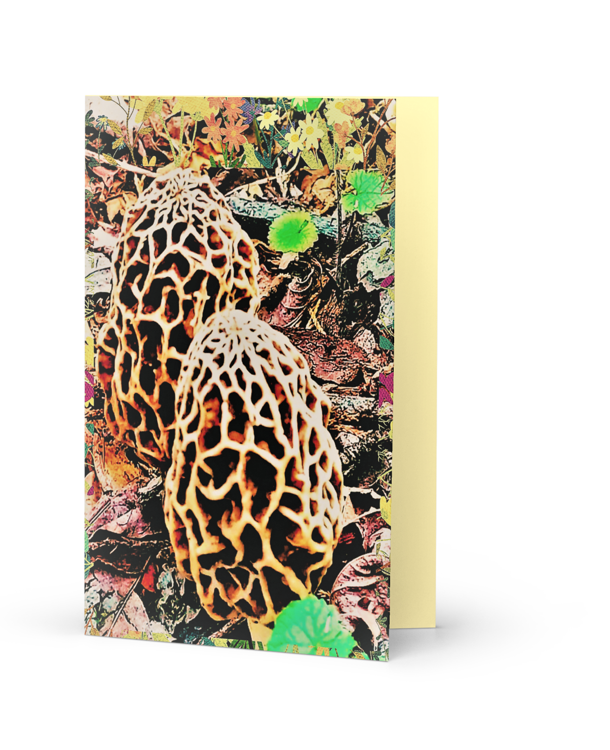 Morel Mushroom Blank Greeting Card - Wild Gourmet Fungi