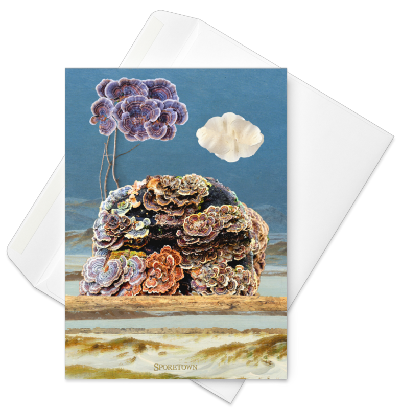 Turkey Tail Cloud Fungi Mushroom ID Art Card