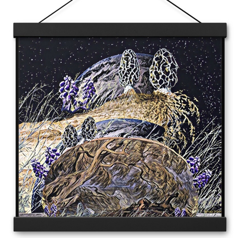 Morel Mushrooms On Edge Of Universe Poster with Hanger