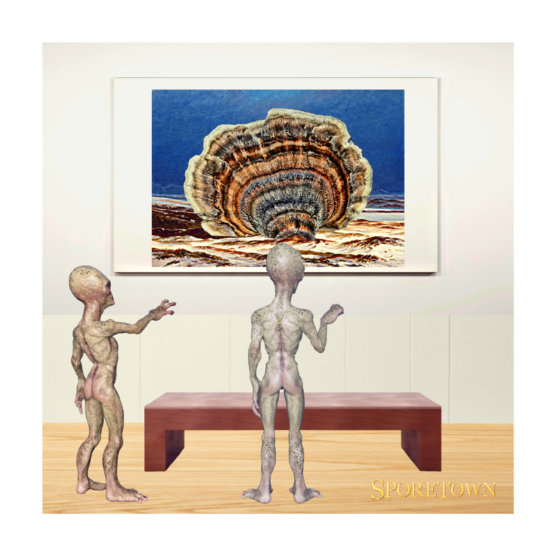 Turkey Tail Mushroom Alien Art Museum Magnet