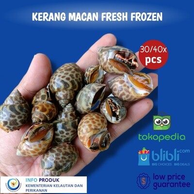 Kerang Macan Premium