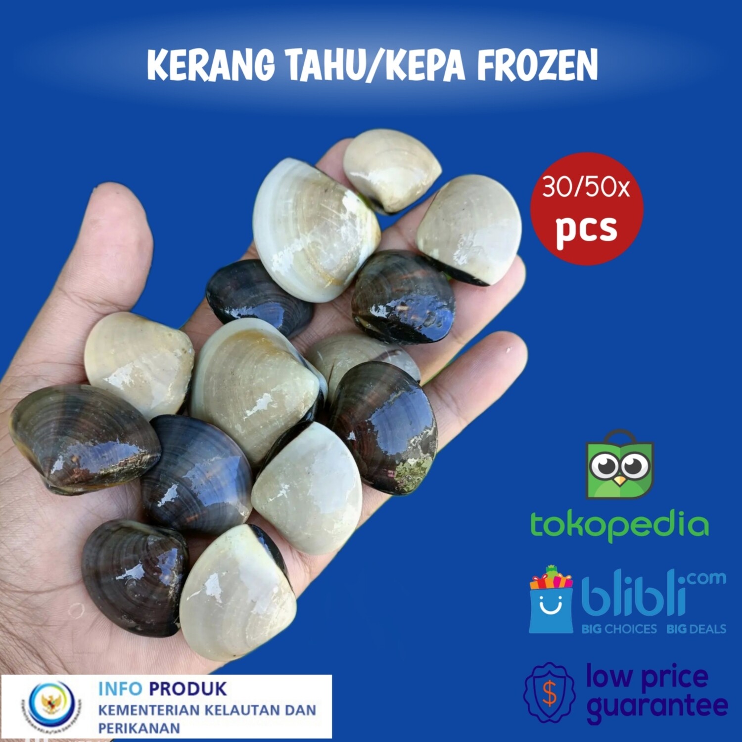 KERANG KEPA/TAHU PREMIUN